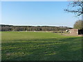 Paddock & horses on Cannock Chase