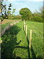 Footpath to Shutlanger