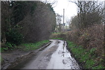 TR3058 : Lane near Goss Hall by N Chadwick