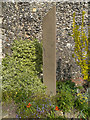 The Fields My Oratory, Canterbury Cathedral Memorial Garden