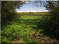 Meadow near Chaffhay Farm