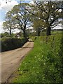 Lane through Hay Farm