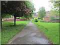 Footpath - Gathorne Terrace