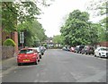 Leopold Street - viewed from Frankland Place