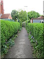 Footpath - Newton Park View