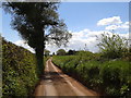 Country lane caked in dried mud