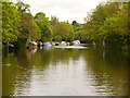 TQ7557 : River Medway by David Dixon