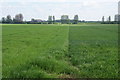 Dividing line between crops