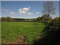 Field near Furley