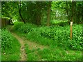 Footpath junction north of Iver Heath