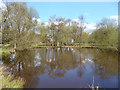 Pond on Hadley Green