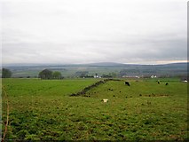 NN8306 : Grazing land, Strathallan by Richard Webb