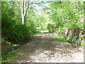 Glen Road pathway