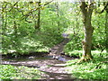 Temple Gill pathway