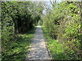 Footpath beside The Royal Military Canal