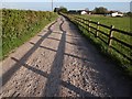 Shadow fencing