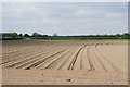 Ploughed field near Melmerby