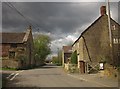 Houses in East Lambrook