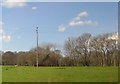 Field near Bridge