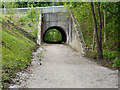 Trans Pennine Trail, Tunnel Under Parrs Wood Lane