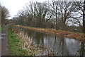 Basingstoke Canal