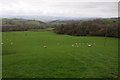 Farmland below Llanwrda Farm