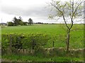 Sheskinshule Townland