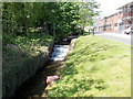 Small stepped waterfall in Blaen Bran, Cwmbran