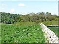 Dyke and small wood, Pitcullo