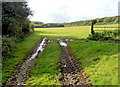 Muddy track to a field, Hambrook