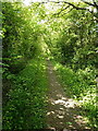 Up the bridleway towards Linley Brook