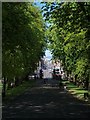 Looking down Victoria Road from Queen