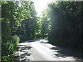 Bournebridge Lane, near Lambourne End