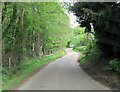 Cottage Lane south of Brassets Wood