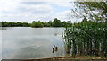 May Water, Chigborough Fisheries, nr Maldon, Essex