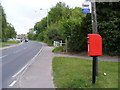 TM3489 : B1062 Hillside Road East & Mayfair Road Postbox by Geographer