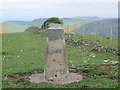 Ordnance Survey Trig Pillar S1645