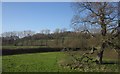 Farmland, Sem valley