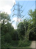 SE2436 : Electricity Pylon - Bramley Fall Park by Betty Longbottom