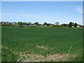 Farmland off Conisholme Road