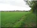 Wendlebury: View from the footpath to Merton