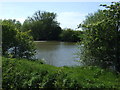 Fishing pond off Fen Lane