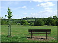 TQ5694 : Weald Country Park, near Brentwood by Malc McDonald