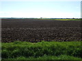 TF3198 : Ploughed field, Fulstow Top by JThomas