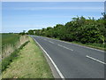 Fen Lane (A1031)