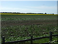 Farmland beside Louth Road