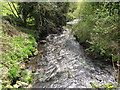 Forkhill River below the Old Bridge