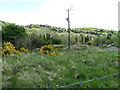 11kv power lines running alongside the Forkhill River