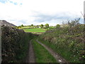 View north along the old corpse road linking Forkhill with Urney Graveyard