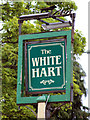 The White Hart sign